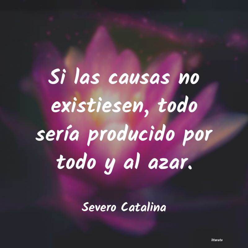 Frases de Severo Catalina