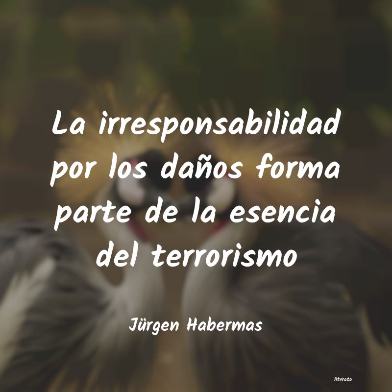 Frases de Jürgen Habermas