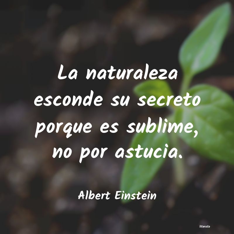 transparente en mis acciones, secreto en mis planes
