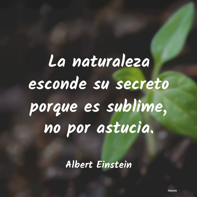 Frases de Albert Einstein