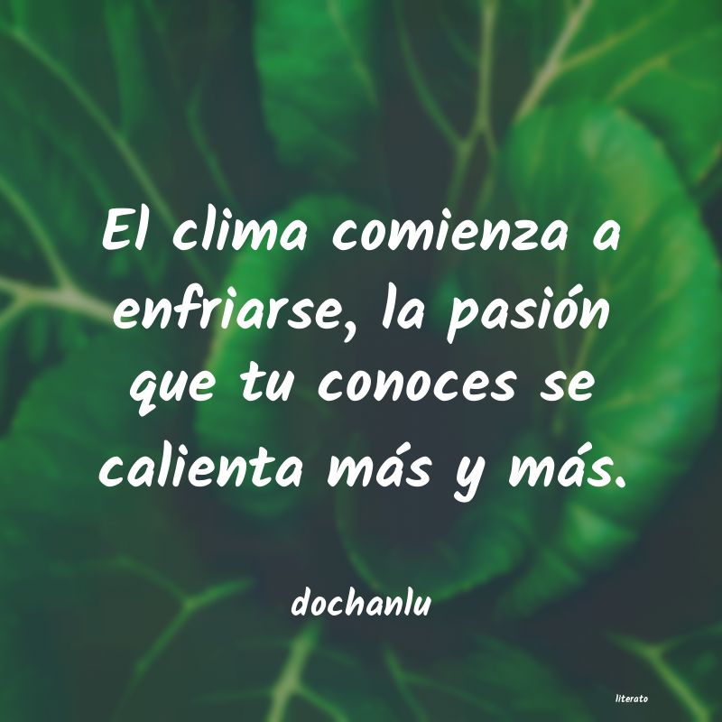 Frases de dochanlu