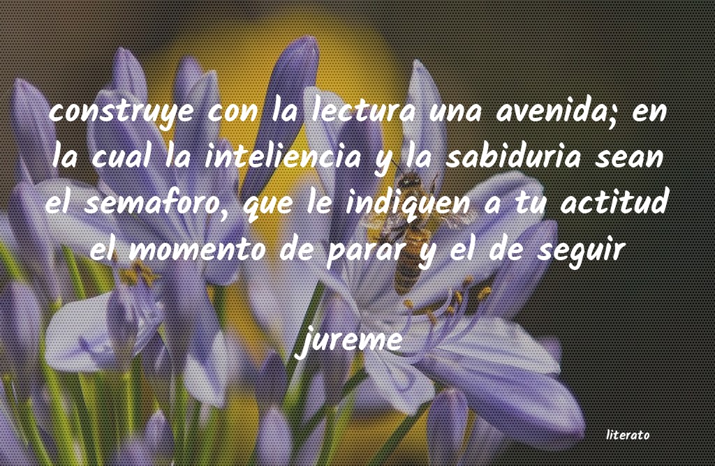 Frases de jureme