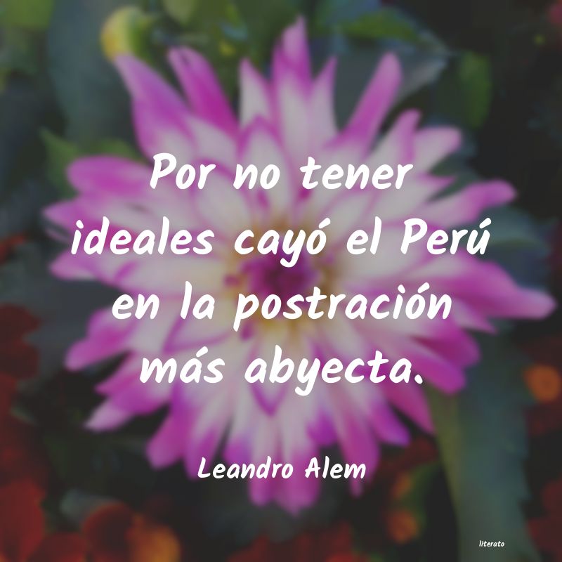 Frases de Leandro Alem