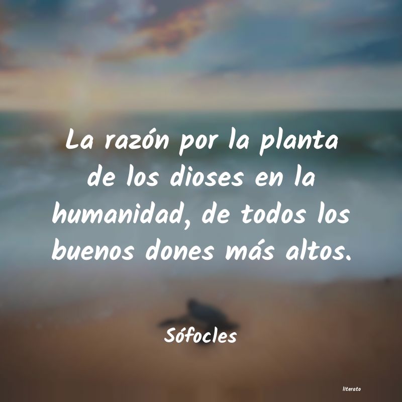 frases de Sófocles