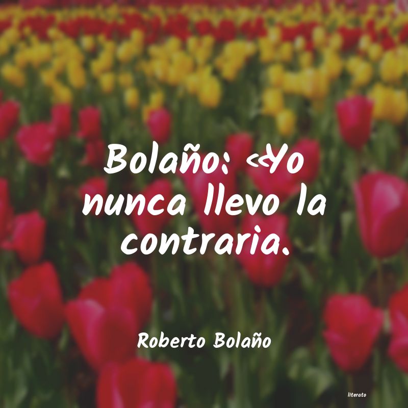 Frases de Roberto Bolaño