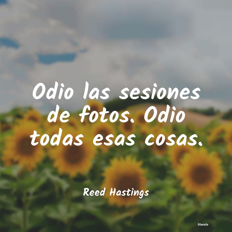 frases de Reed Hastings