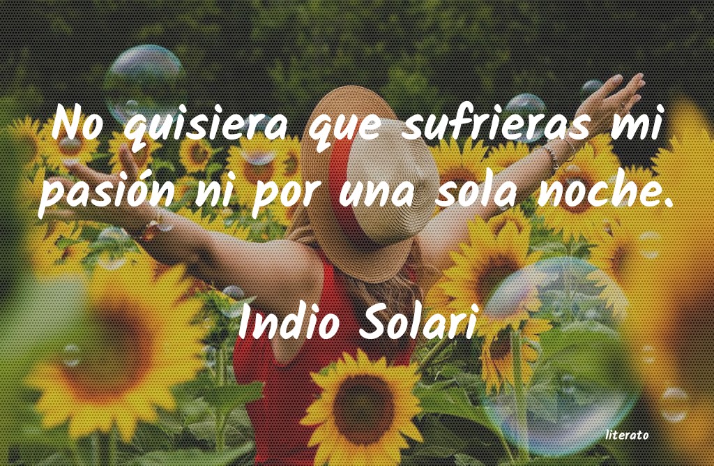 Frases de Indio Solari