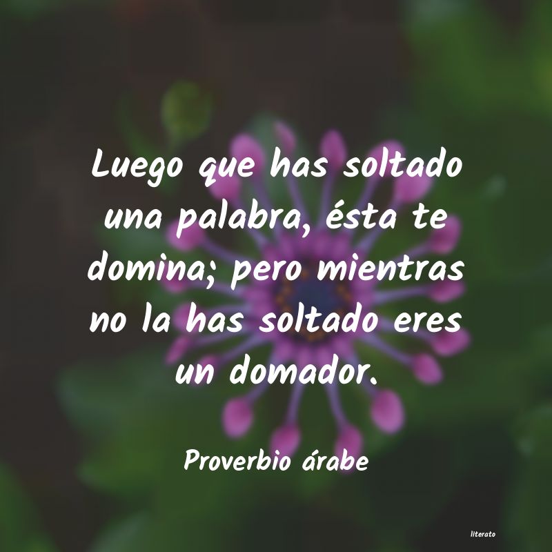 frases de palabra