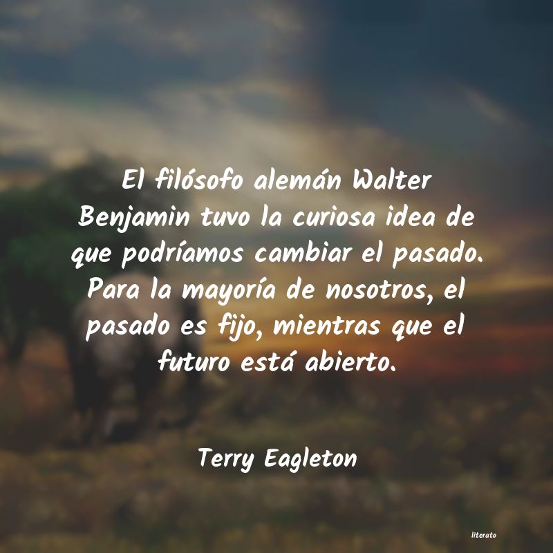 Frases de Terry Eagleton