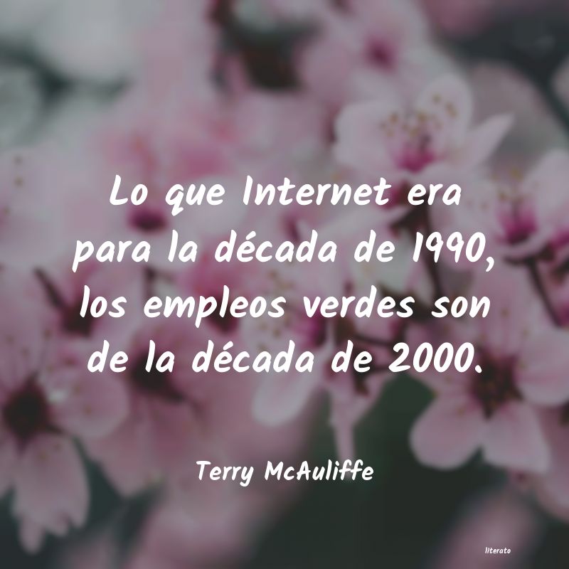 frases de Terry McAuliffe