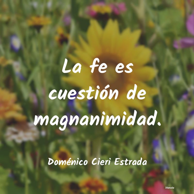 Frases de Doménico Cieri Estrada