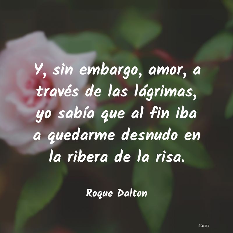 mi amor por ti es una roque dalton