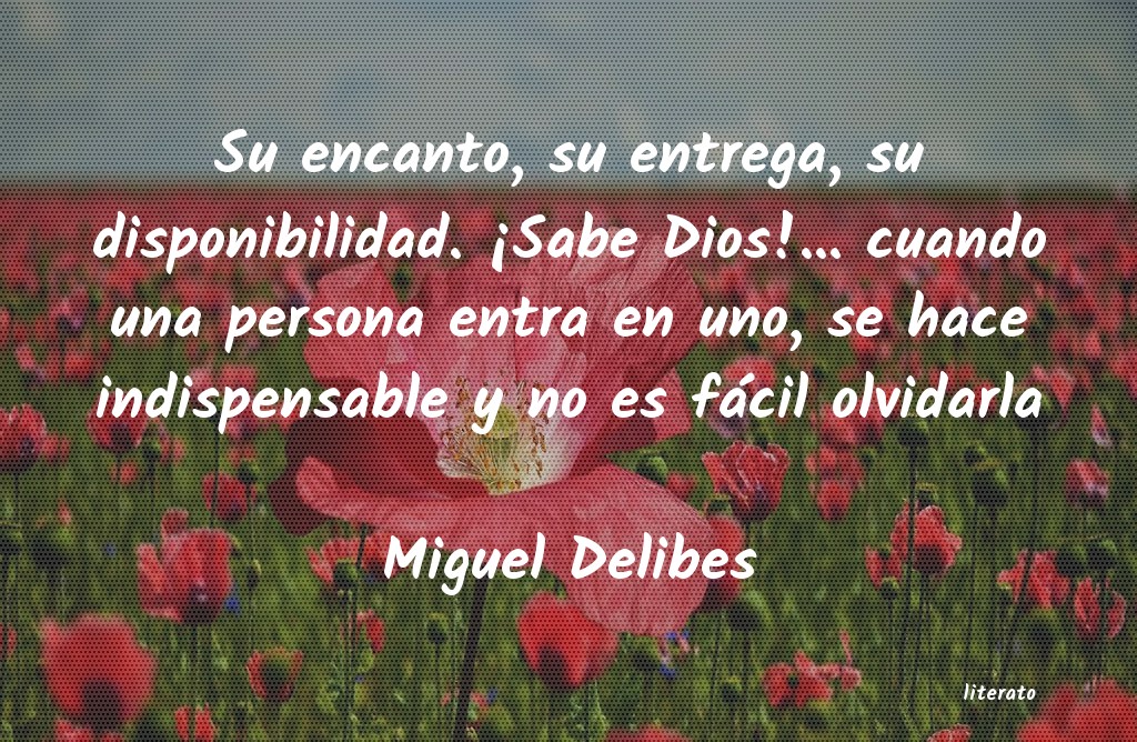 frases de Miguel Delibes
