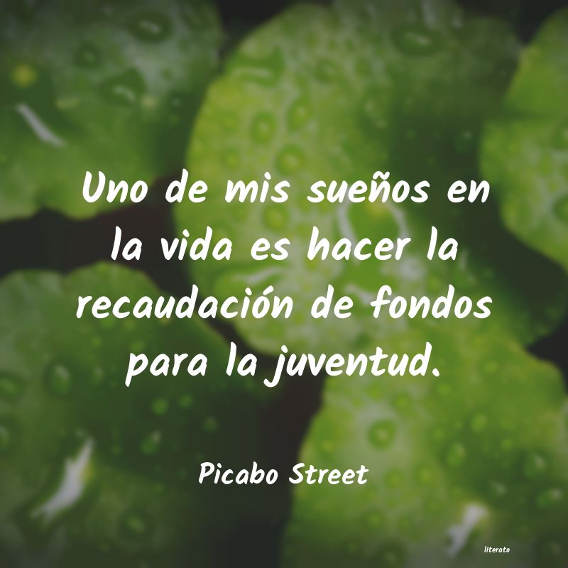 Frases de Picabo Street