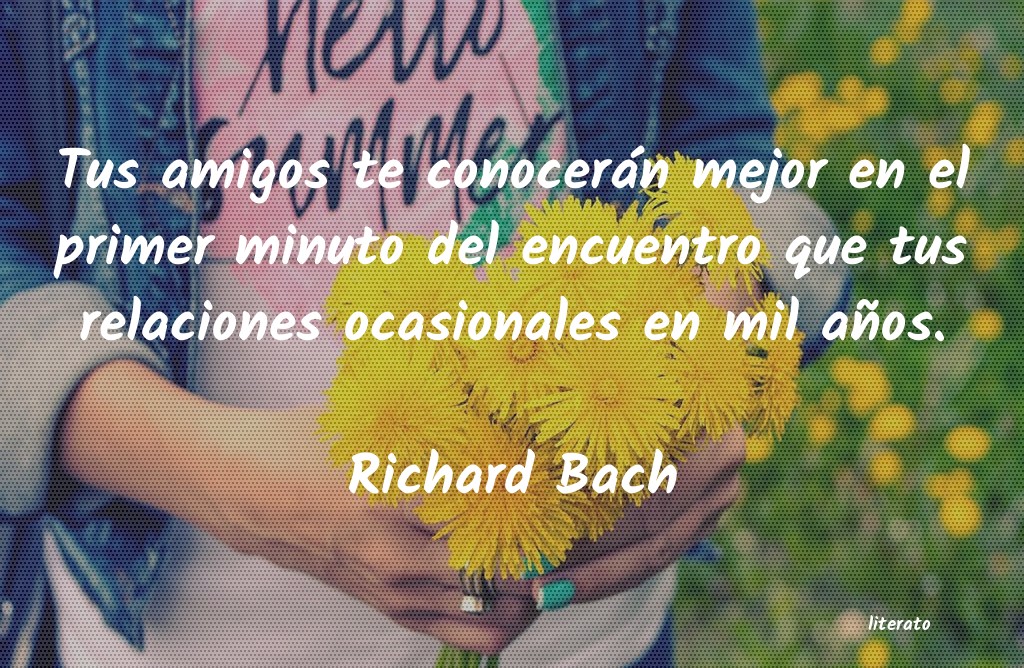 Frases de Richard Bach