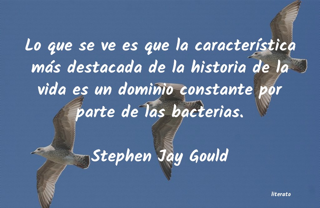 Frases de Stephen Jay Gould