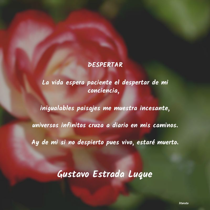 Frases de Gustavo Estrada Luque