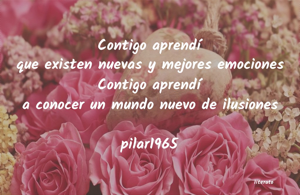 frases de pilar1965