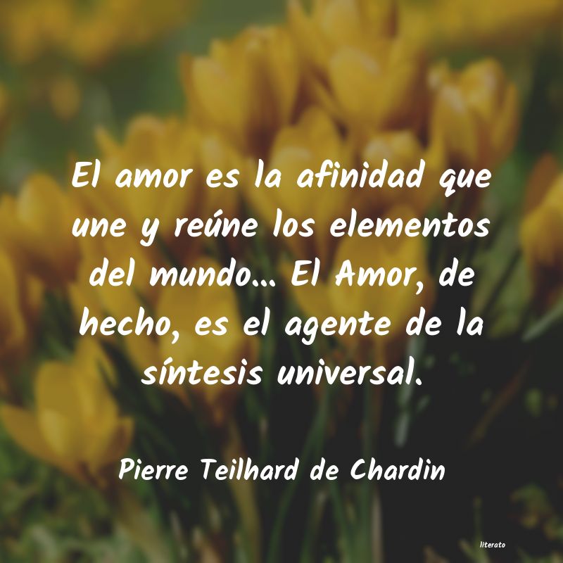 frases de Pierre Teilhard de Chardin