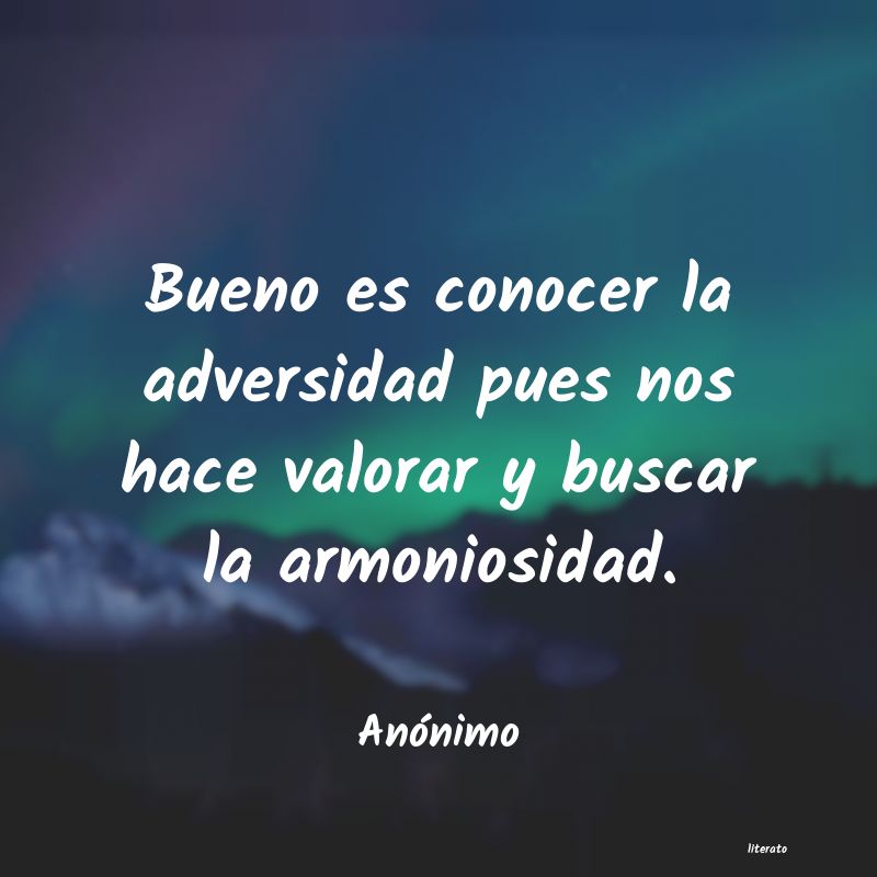 querer conocer