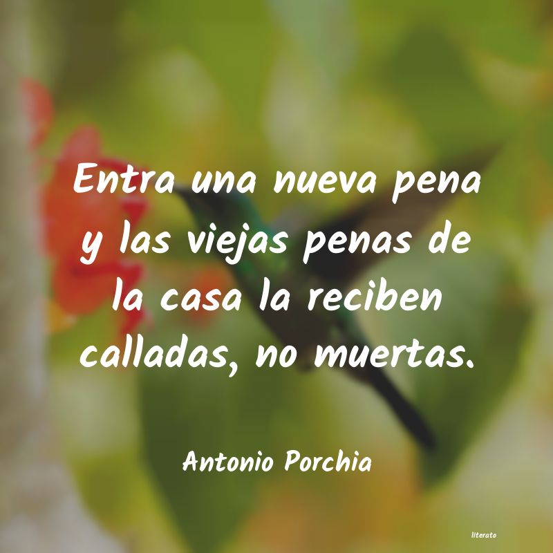 Frases de Antonio Porchia