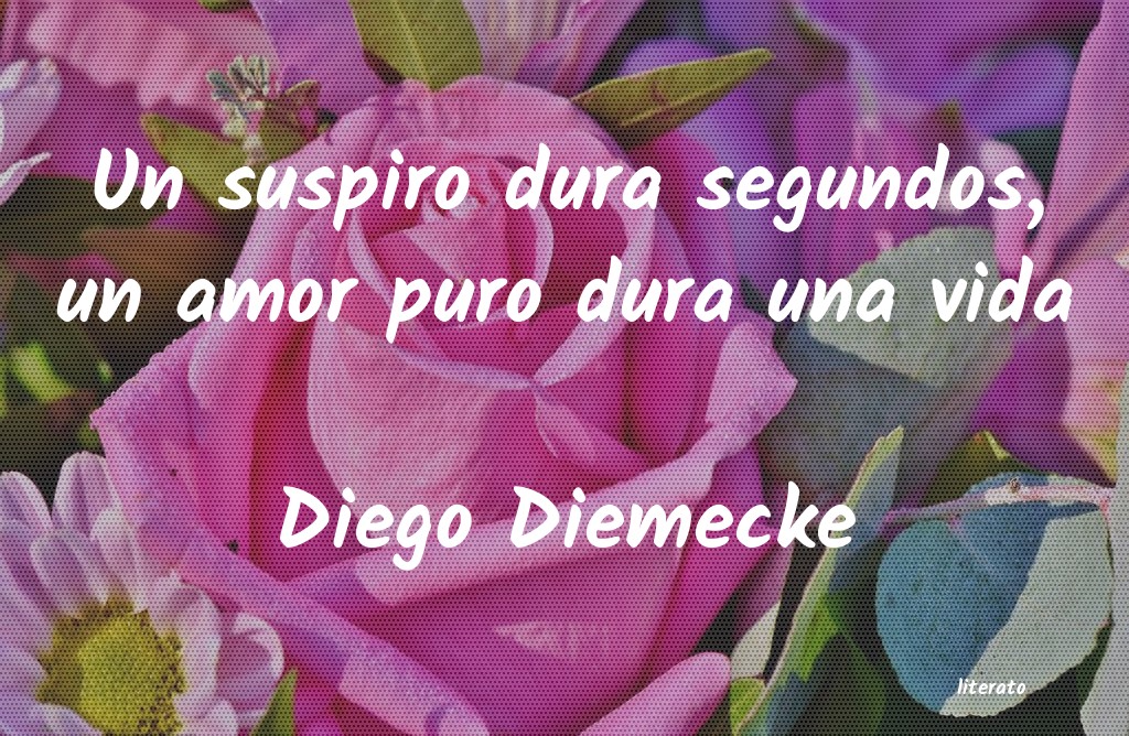 frases de Diego Diemecke