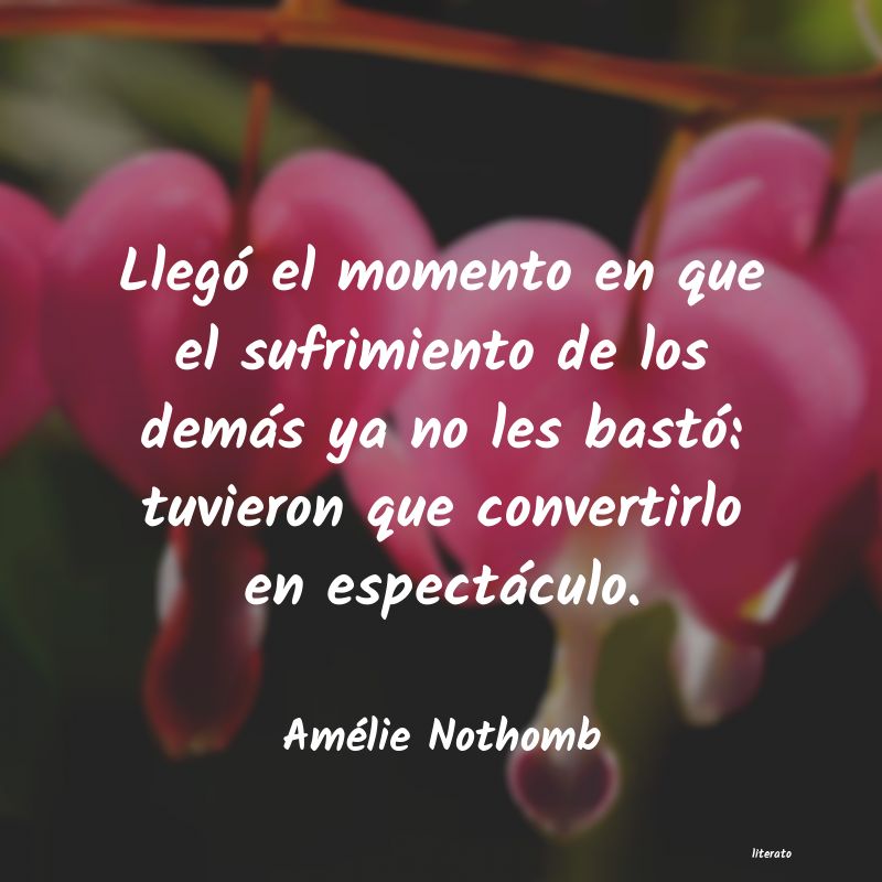 Frases de Amélie Nothomb