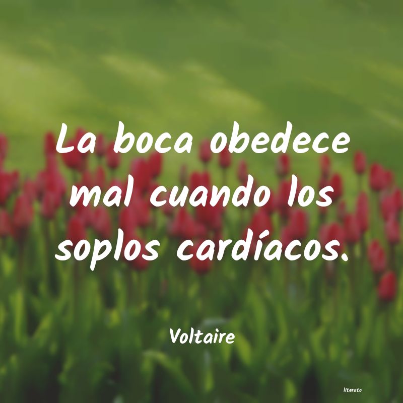 frases de Voltaire