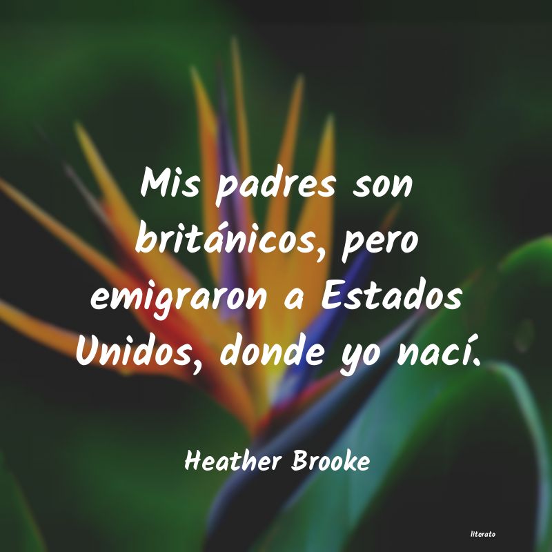 Frases de Heather Brooke