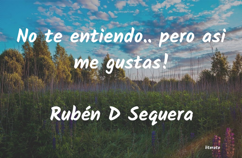 Frases de Rubén D Sequera