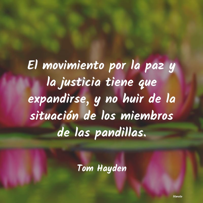 frases de Tom Hayden