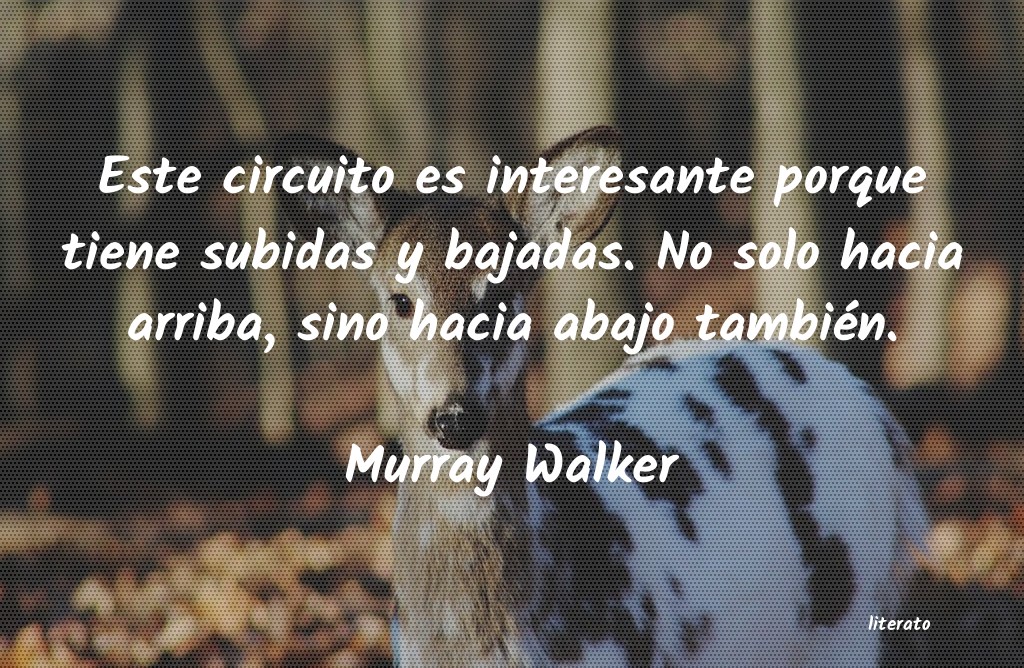 Frases de Murray Walker