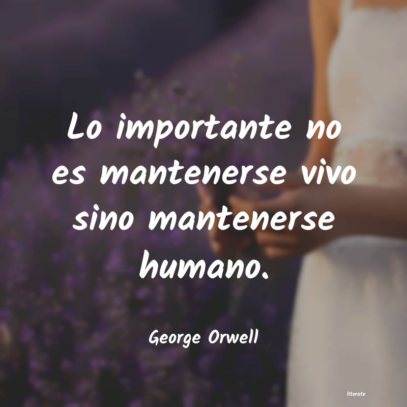 Frases de George Orwell