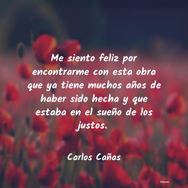 frases de Carlos Cañas