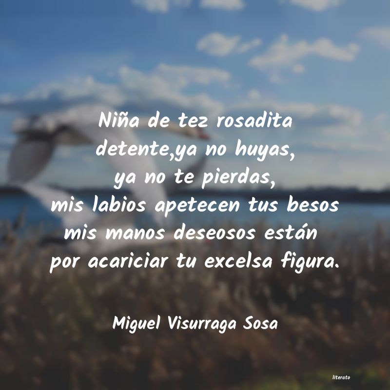 Frases de Miguel Visurraga Sosa