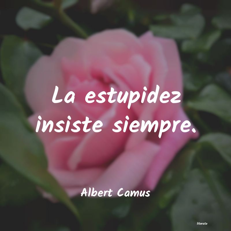 Frases de Albert Camus