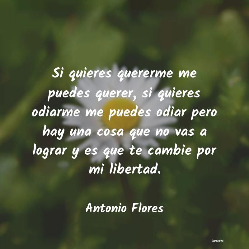 frases de Antonio Flores