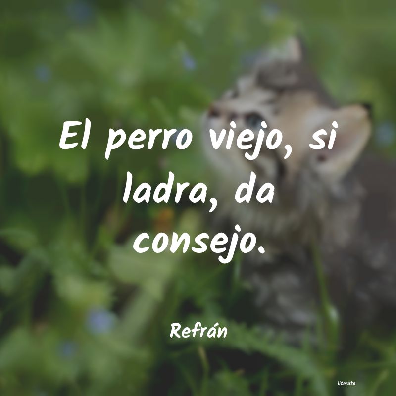 Frases de Refrán