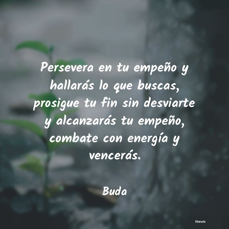 Frases de Buda