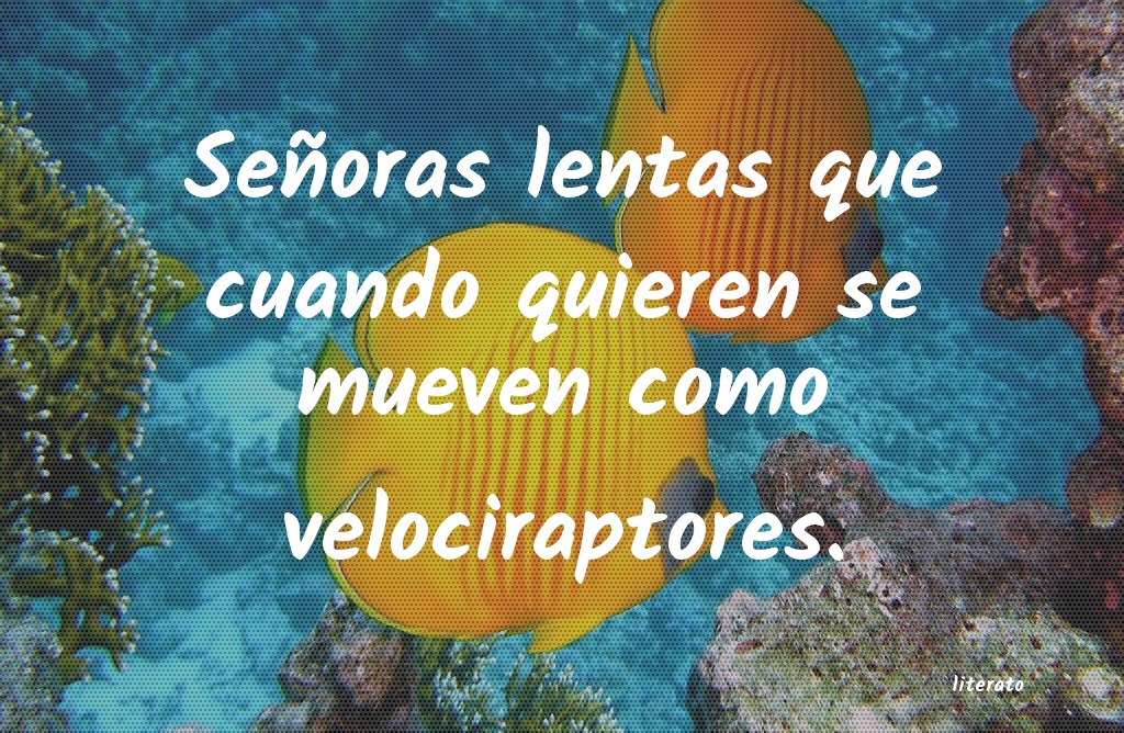 frases