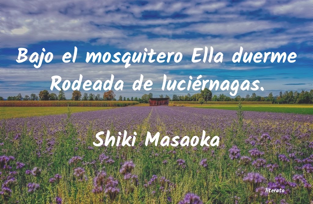 Frases de Shiki Masaoka