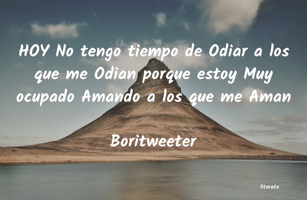 Frases de Boritweeter