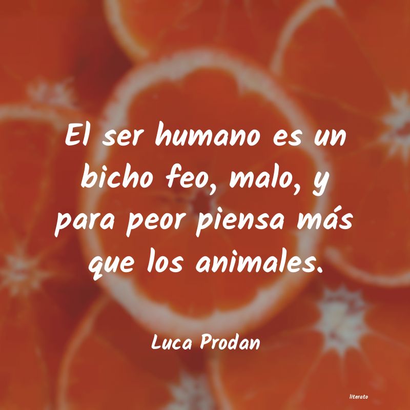 frases de Luca Prodan