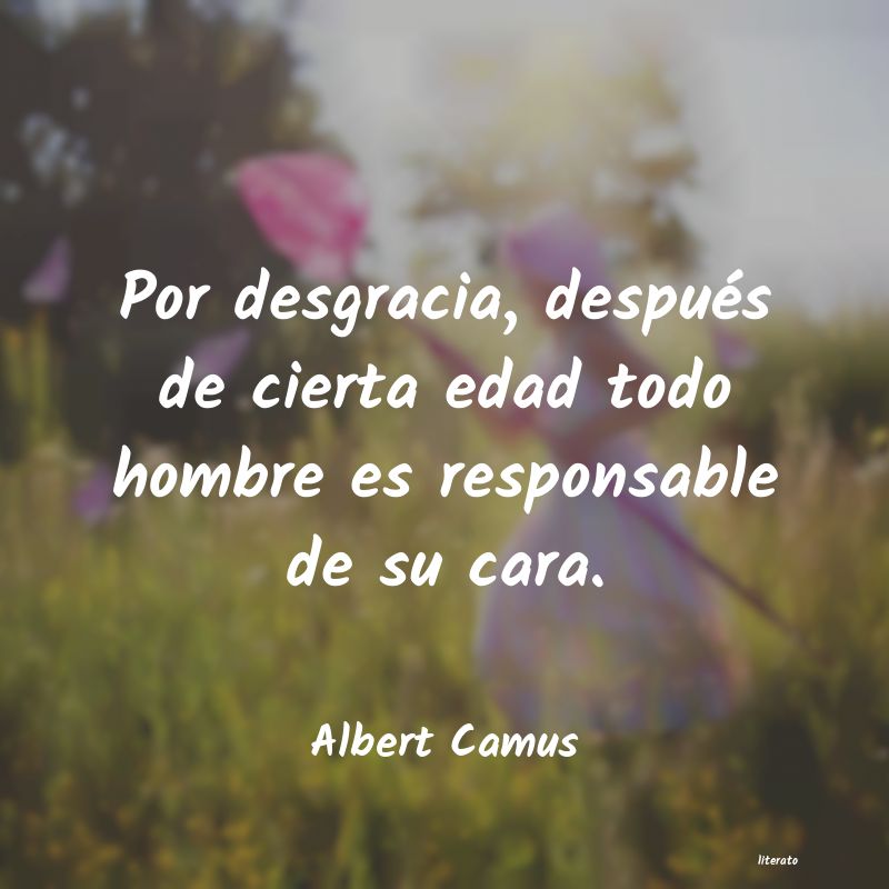 Frases de Albert Camus