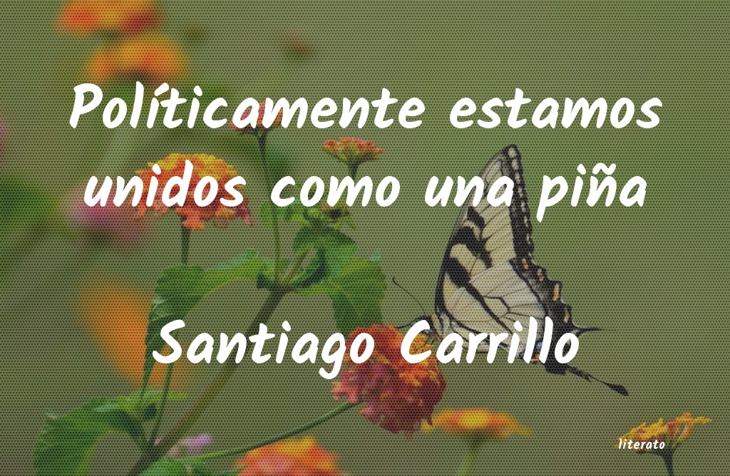 Frases de Santiago Carrillo