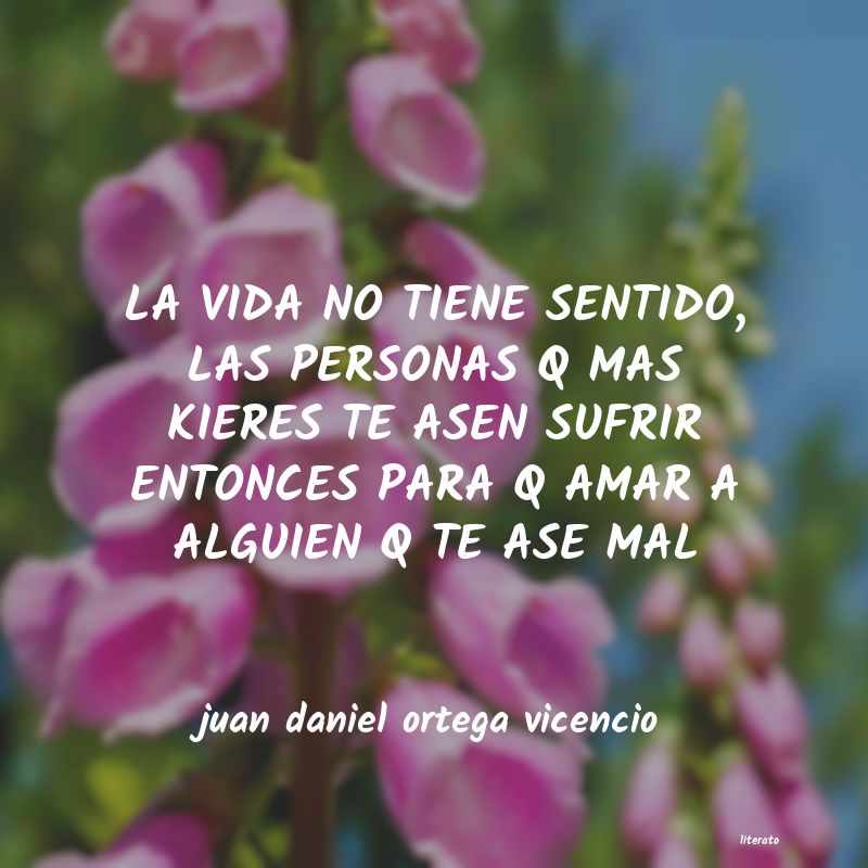 Frases de juan daniel ortega vicencio