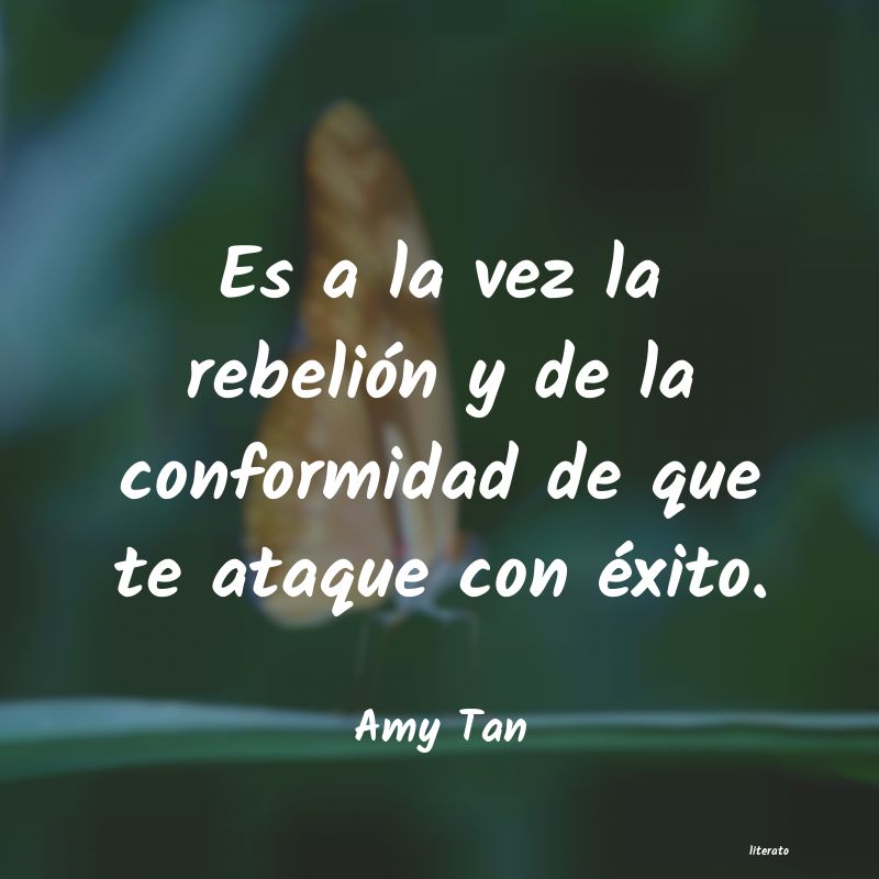 Frases de Amy Tan