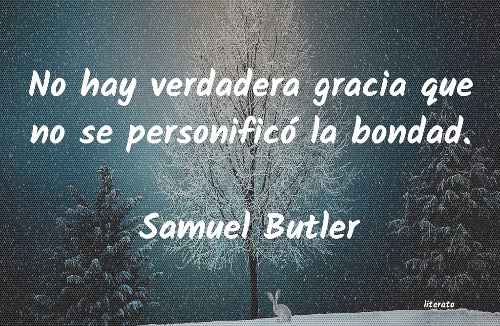 Frases de Samuel Butler