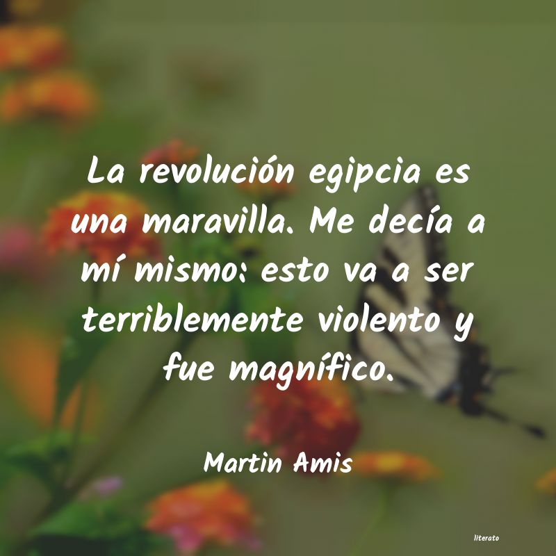 frases de Martin Amis