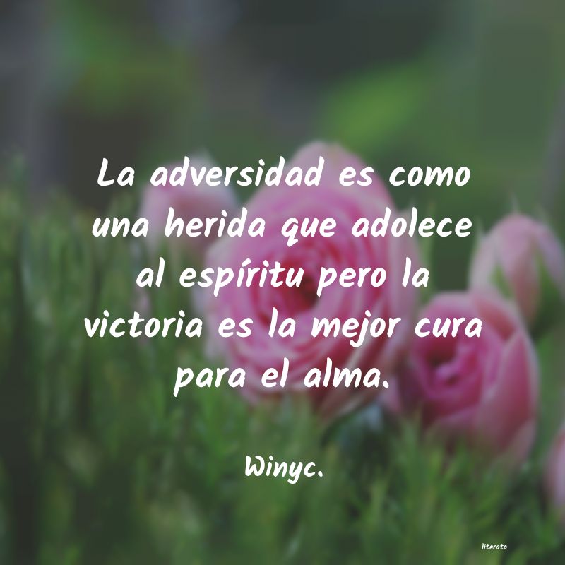 frases de Winyc.